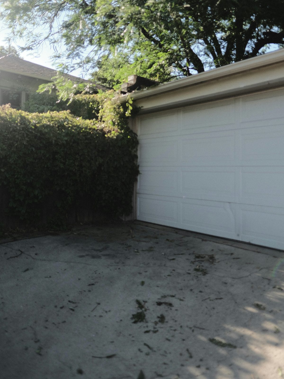 Before example: worn, stained concrete driveway with scattered leaves in front of a white garage door